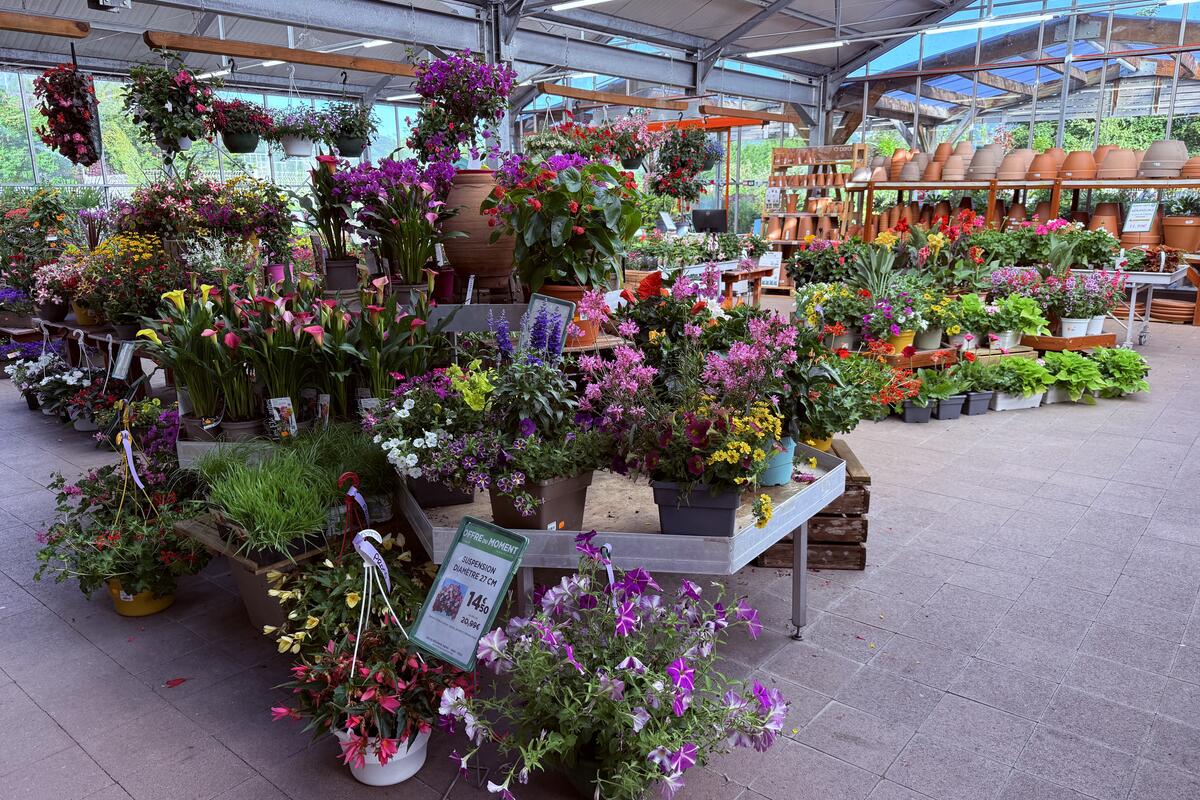 Conseiller(e) vendeur(se) cave et &eacute;picerie (H/F)