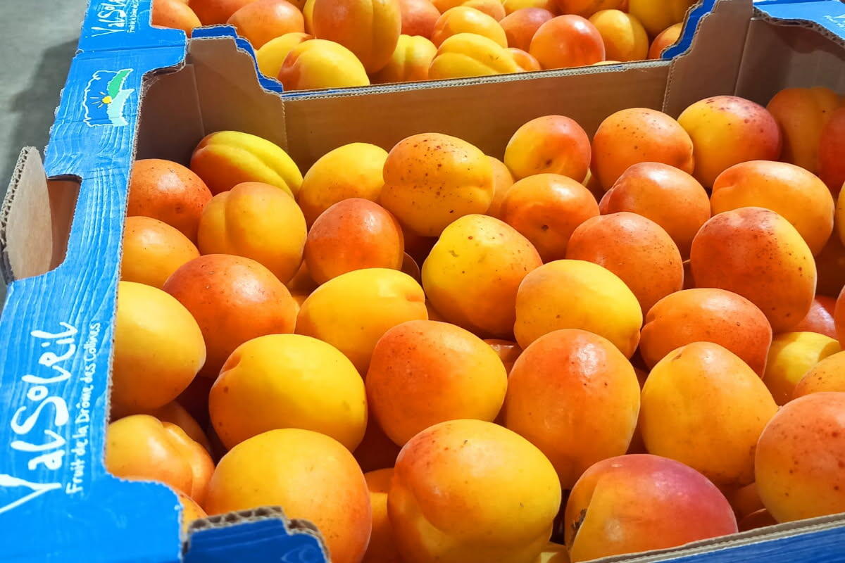 Cariste station fruiti&egrave;re (H/F)